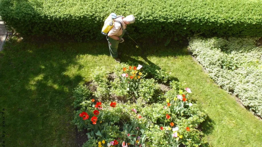 Home Services professional applying lawn treatment.